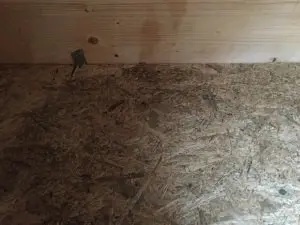 Schimmelbefall auf OSB-Platte durch Feuchtigkeit im Innenraum