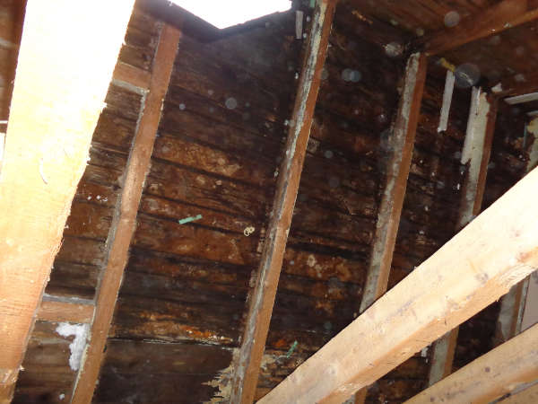 Dachschalung verfault, Energieberatung, Effizienzhaus, Luftdichtheitsmessung