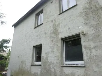 Schimmel auf alter Fassade, Fenster erneuern, Energieberatung Hof, Nürnberg