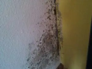 Schimmelbefall in Raumecke eines Wohnraums durch Kondensat und Wärmebrücke